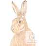 Hare - Blank Card - Image 1
