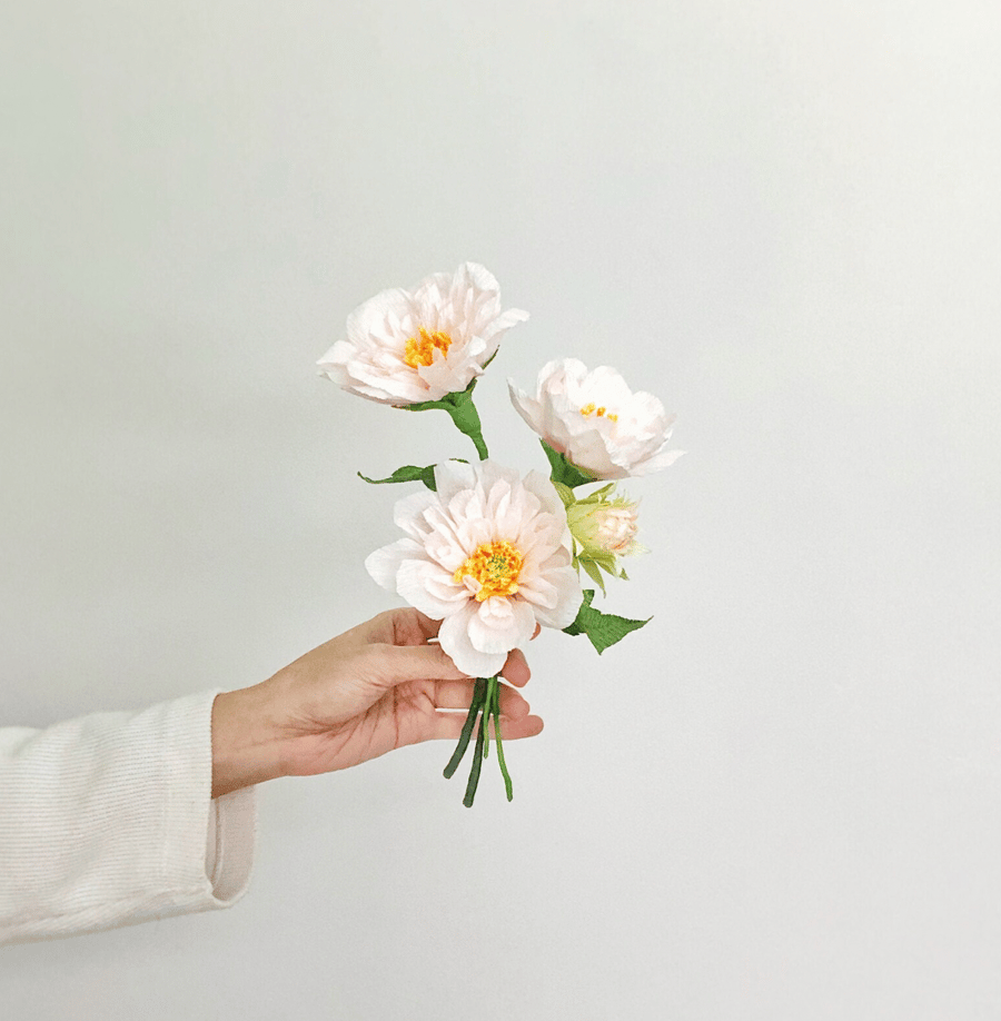 A Set of Darling Dahlia Flowers