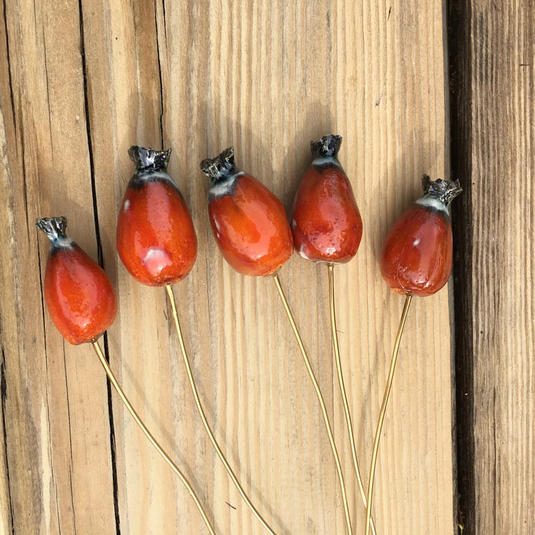 5 x rosehip stems -  sculptural ceramics  for stylish floral arrangement