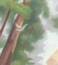 Redwood Forest drawing - beautiful trees, California art  - Image 4
