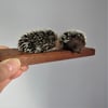 Two Little Hedgehogs