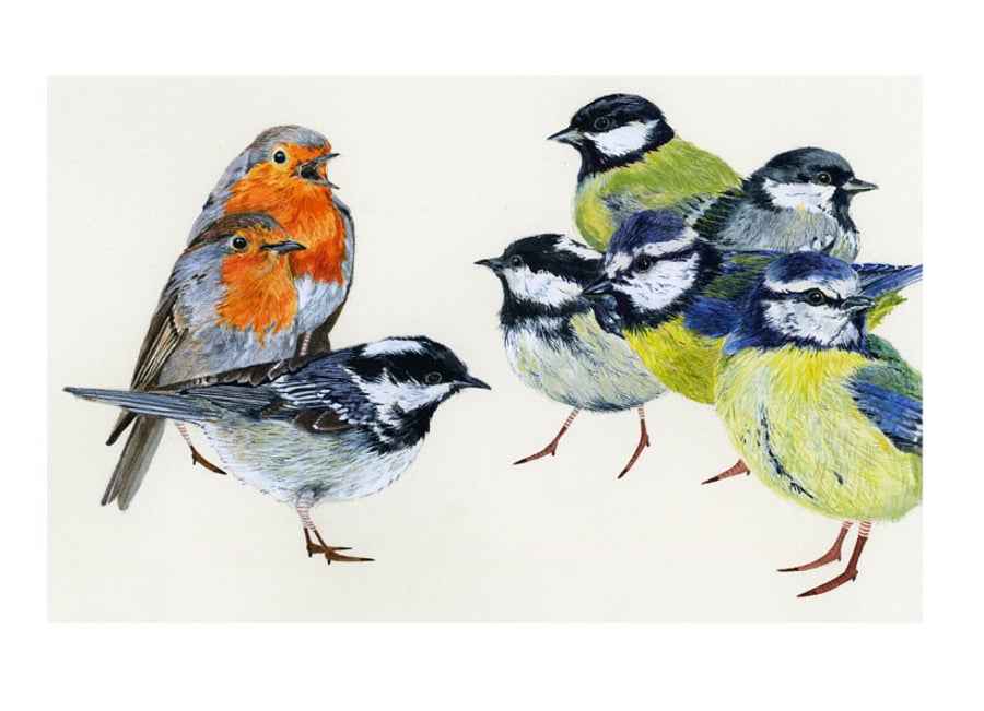 Birds of Britain A4 Giclee print