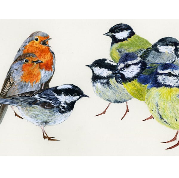 Birds of Britain A4 Giclee print