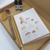 Natural paint kit