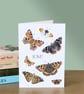 Butterfly Greetings Card - 5x7" blank, for birthday, anniversary or Valentines