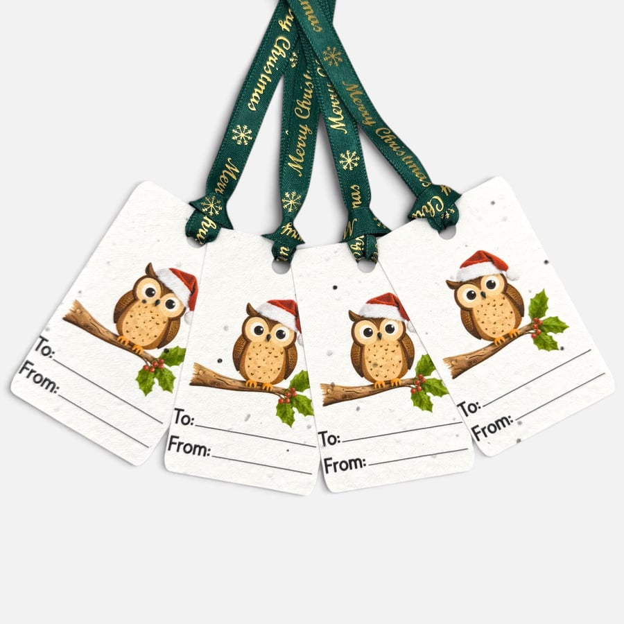 Set of 4 Plantable Christmas Gift Tags, Wildflower Seed Paper, Festive Owl Tags