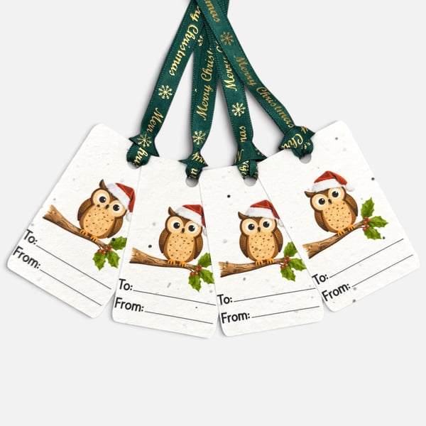Set of 4 Plantable Christmas Gift Tags, Wildflower Seed Paper, Festive Owl Tags