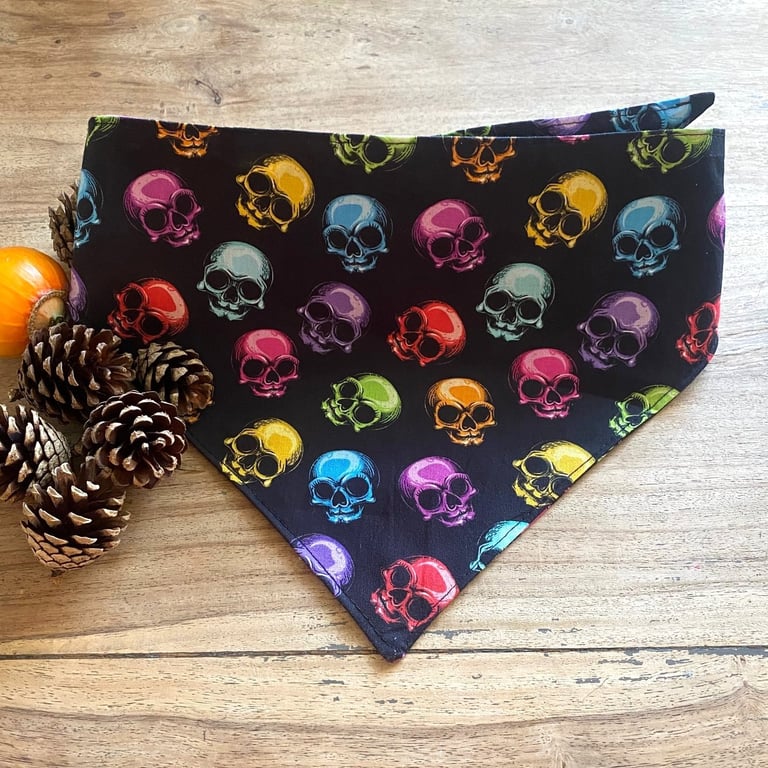 Rainbow Skull Dog Bandana with matching Bowtie for a medium to large dog