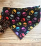 Rainbow Skull Dog Bandana with matching Bowtie for a large dog