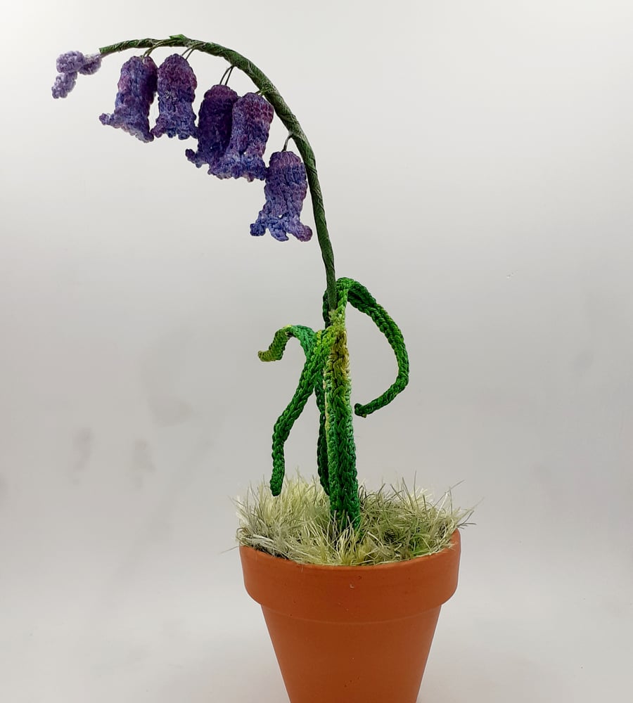 Reserved for Cristina - Crochet Bluebell in a Terracotta Pot 