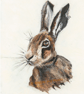 Painted Hare (10"x12") Limited Edition Print - 1 of 20