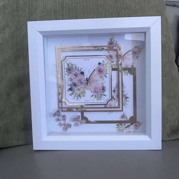 BOXED  FRAMES  WITH SCENE