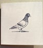 Hand Printed Pigeon Card by Theodore Roberts - Image 1