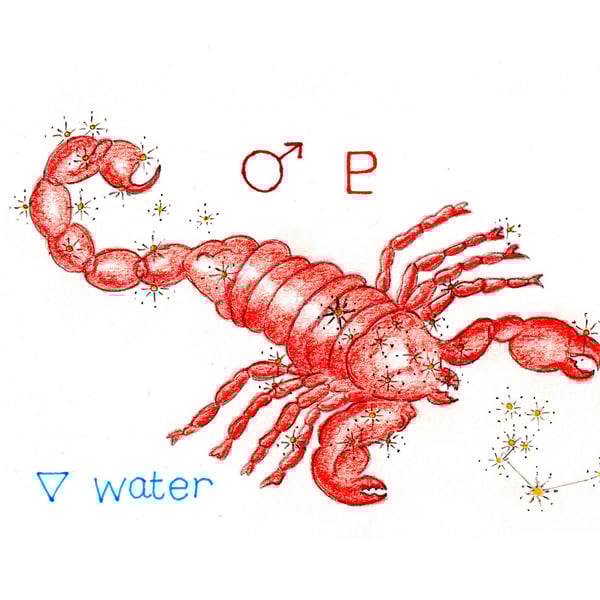 Astrology star sign Scorpio print