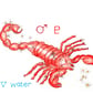 Astrology star sign Scorpio print - Image 1