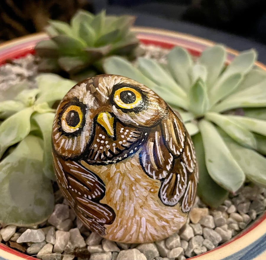 Owl hand painted pebble garden rock art wildlife painting 