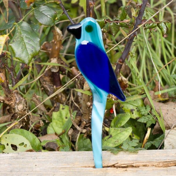 Turquoise and Blue Pot Parrot in Fused Glass - 3200-06