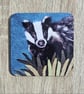 Badger Coaster