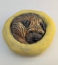 Border Terrier Yorkshire Pudding - 7