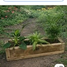 Rustic Solid Wooden plant Herb Trough Planter 50cm
