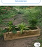 Rustic Solid Wooden plant Herb Trough Planter 50cm