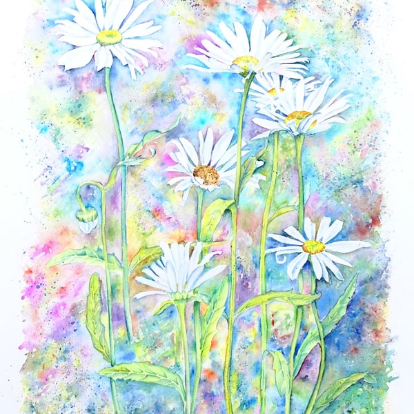 Modern Botanical Watercolour Painting of Ox Eye Daisies. 