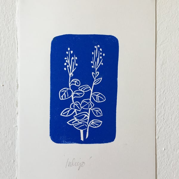 Handmade limited edition linocut print, Indigo plant botanical illustration 