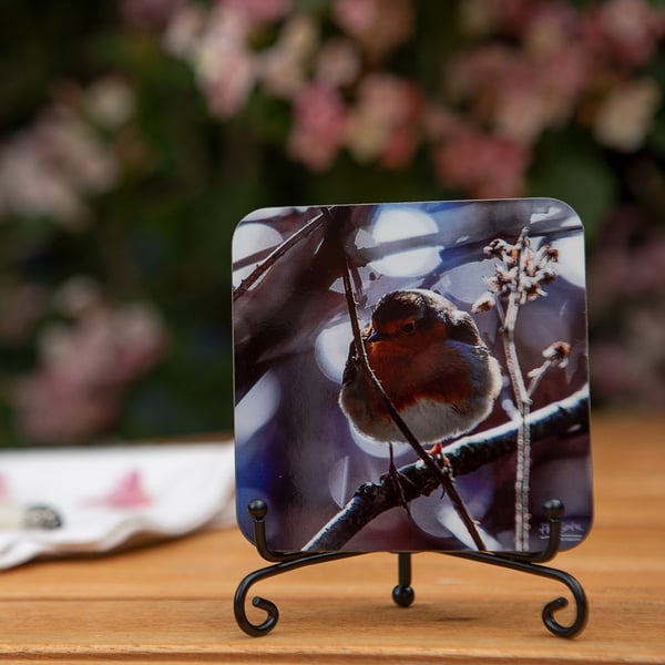 Winter Robin Wooden Coaster - Original Animal Photo Gifts - Wildlife Scene Coast