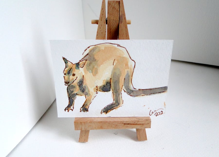 ACEO Wallaby Original Watercolour and Ink Painting ART
