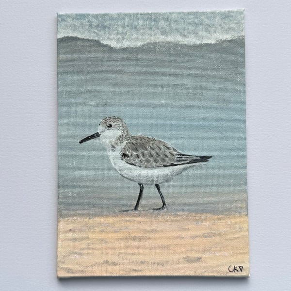 Sanderling Original Art