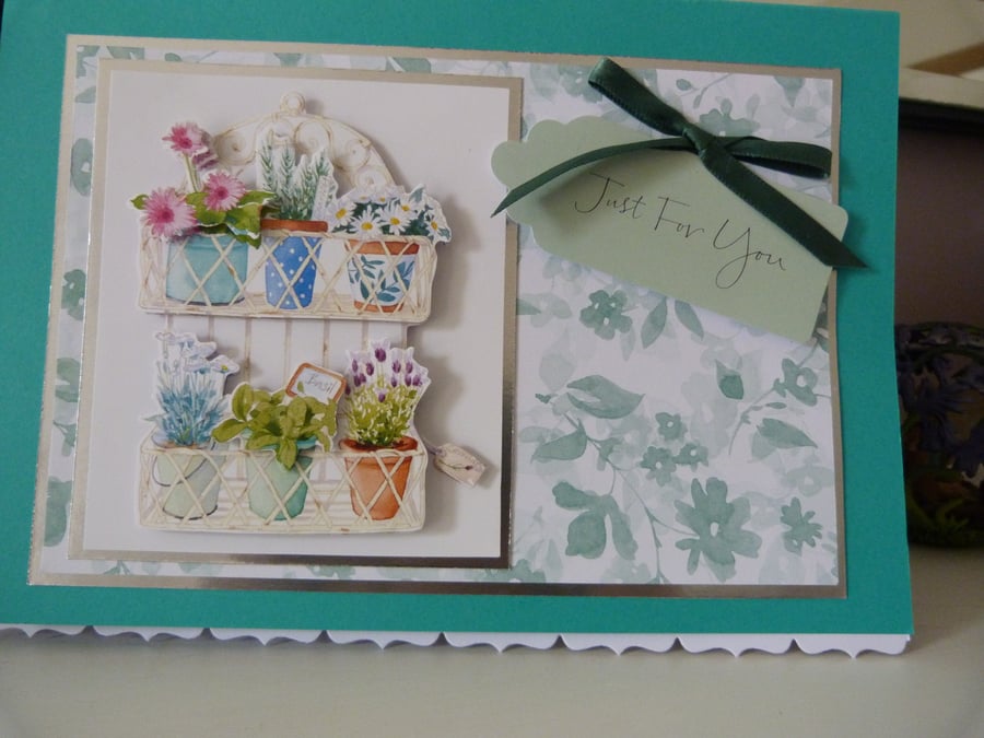 Plant Pots Birthday Card