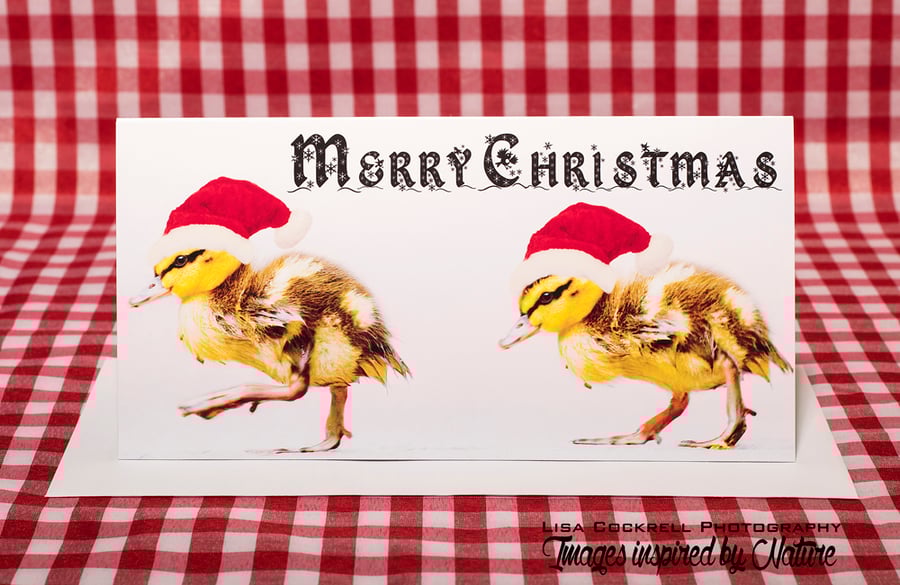 5 X Ducklings In Santa Hats Christmas Cards