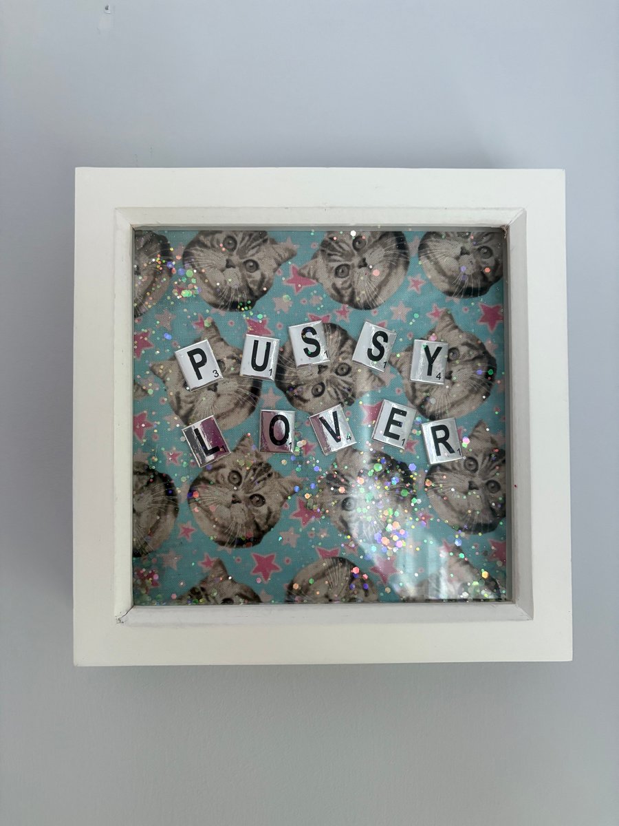 Cat lovers picture saying ‘pussy lover’.
