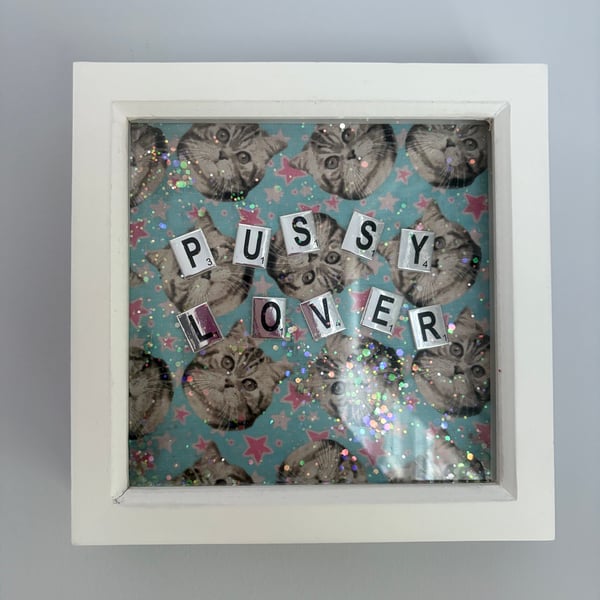 Cat lovers picture saying ‘pussy lover’.