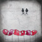 Birds on wires and poppies mixed media shaded painting