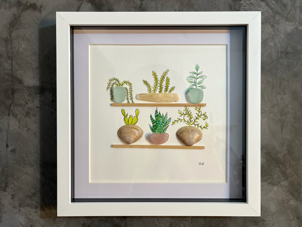 Sea glass, plants,and shells on shelves