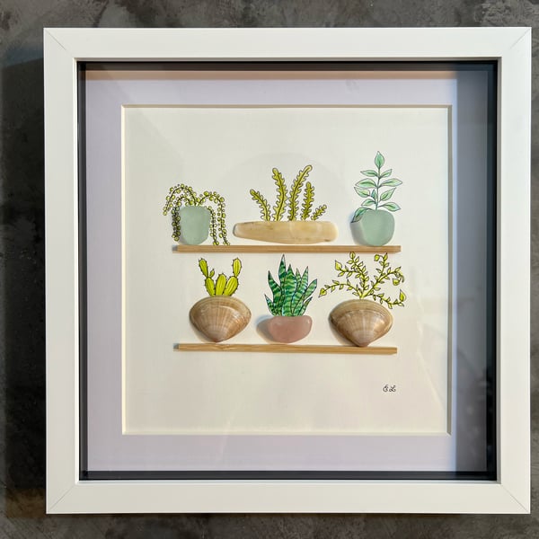 Sea glass, plants,and shells on shelves