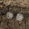 Agapanthus Earrings Silver Stud Earrings silver stud earrings