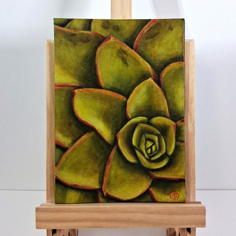 Succulent Acrylic Painting on Canvas Board