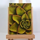 Succulent Acrylic Painting on Canvas Board