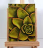 Succulent Acrylic Painting on Canvas Board