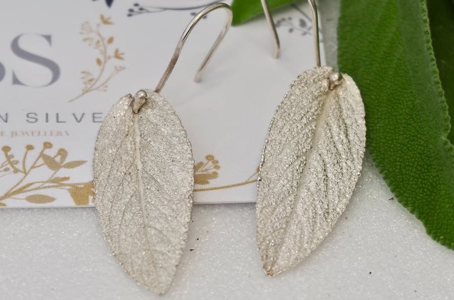 Image of Wise Old Sage - PMC & Sterling Silver sage leaf dropper earrings 