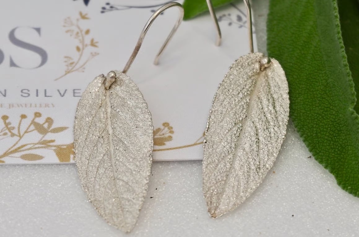 Wise Old Sage - PMC & Sterling Silver sage leaf dropper earrings 