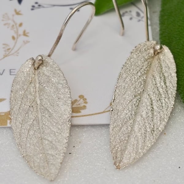 Wise Old Sage - PMC & Sterling Silver sage leaf dropper earrings 