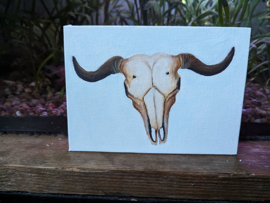Buffalo Cow Skull Acrylic Painting 