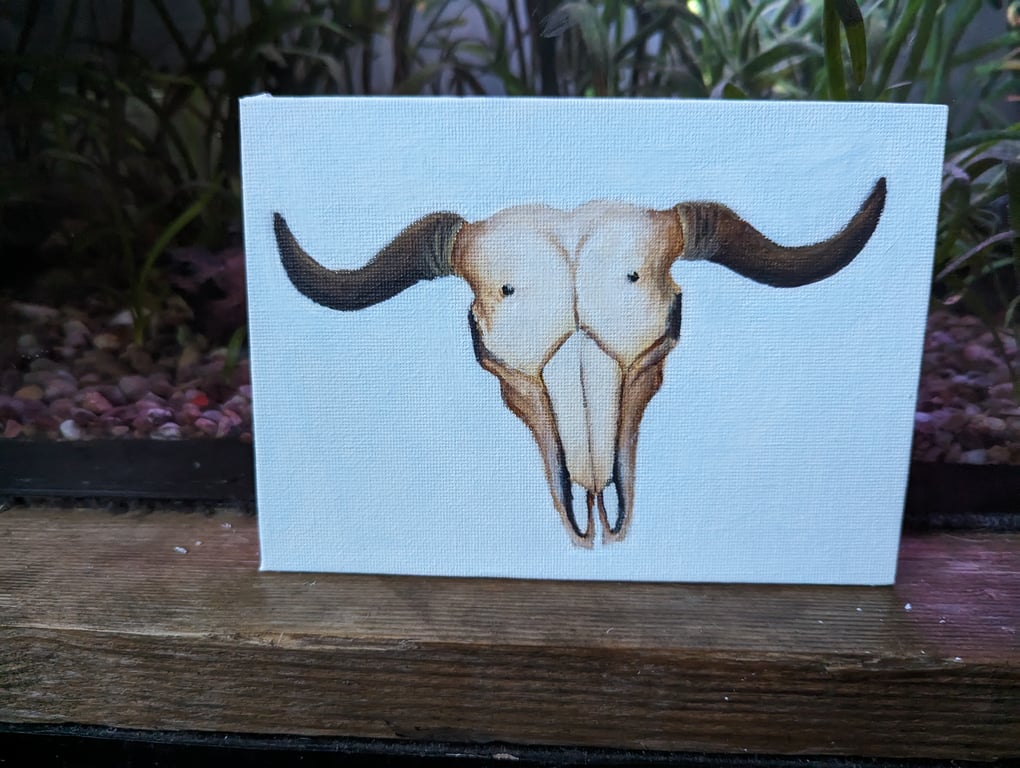 Buffalo Cow Skull Acrylic Painting 