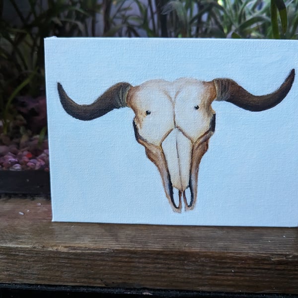 Buffalo Cow Skull Acrylic Painting 