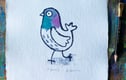Pigeons