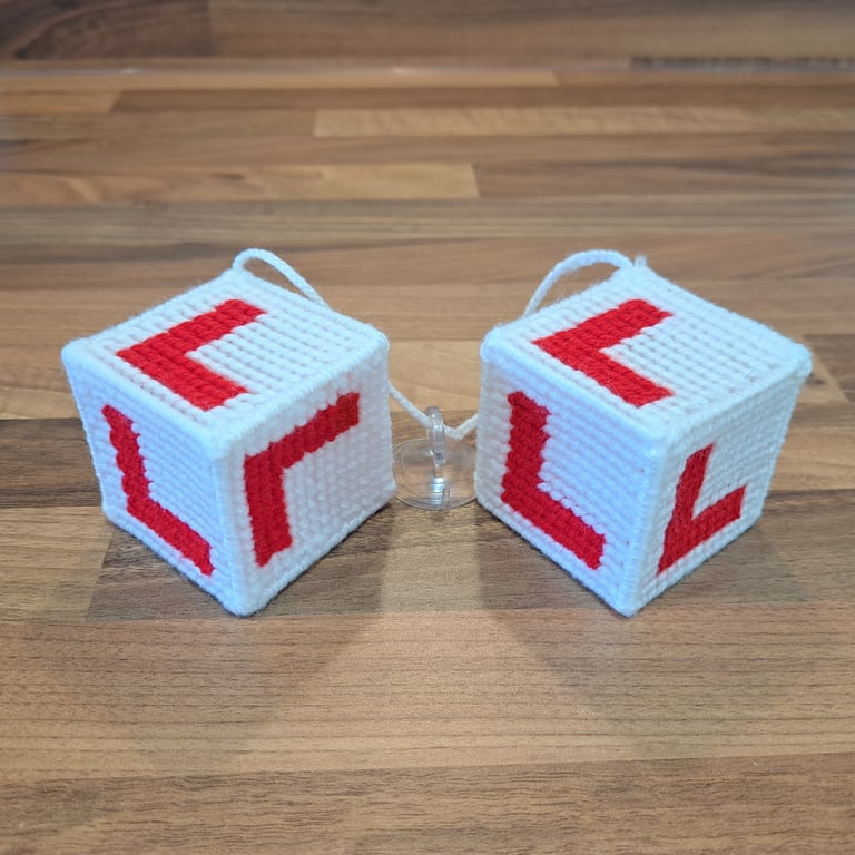 Novelty car decoration for learner drivers, with sucker-cup attachment