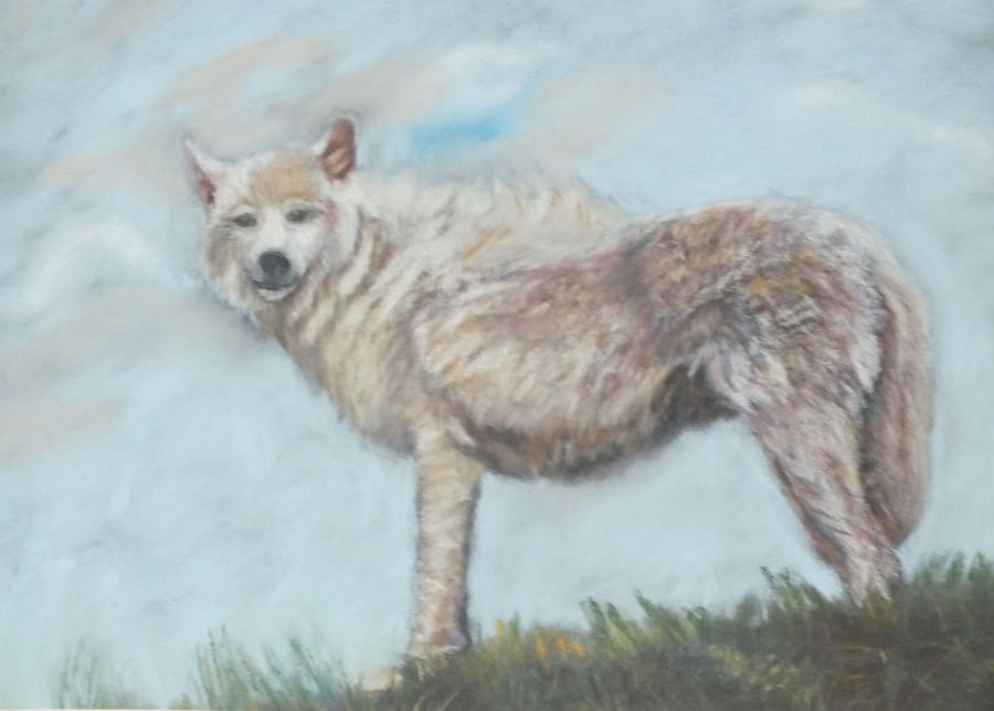 Watching - original artwork Wolf in Pastels by Lisa Furness